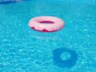 floating tire, summer, water-72963.jpg