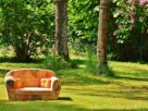 sofa, couch, nature-788635.jpg