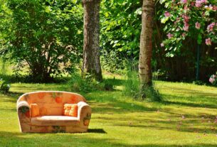 sofa, couch, nature-788635.jpg