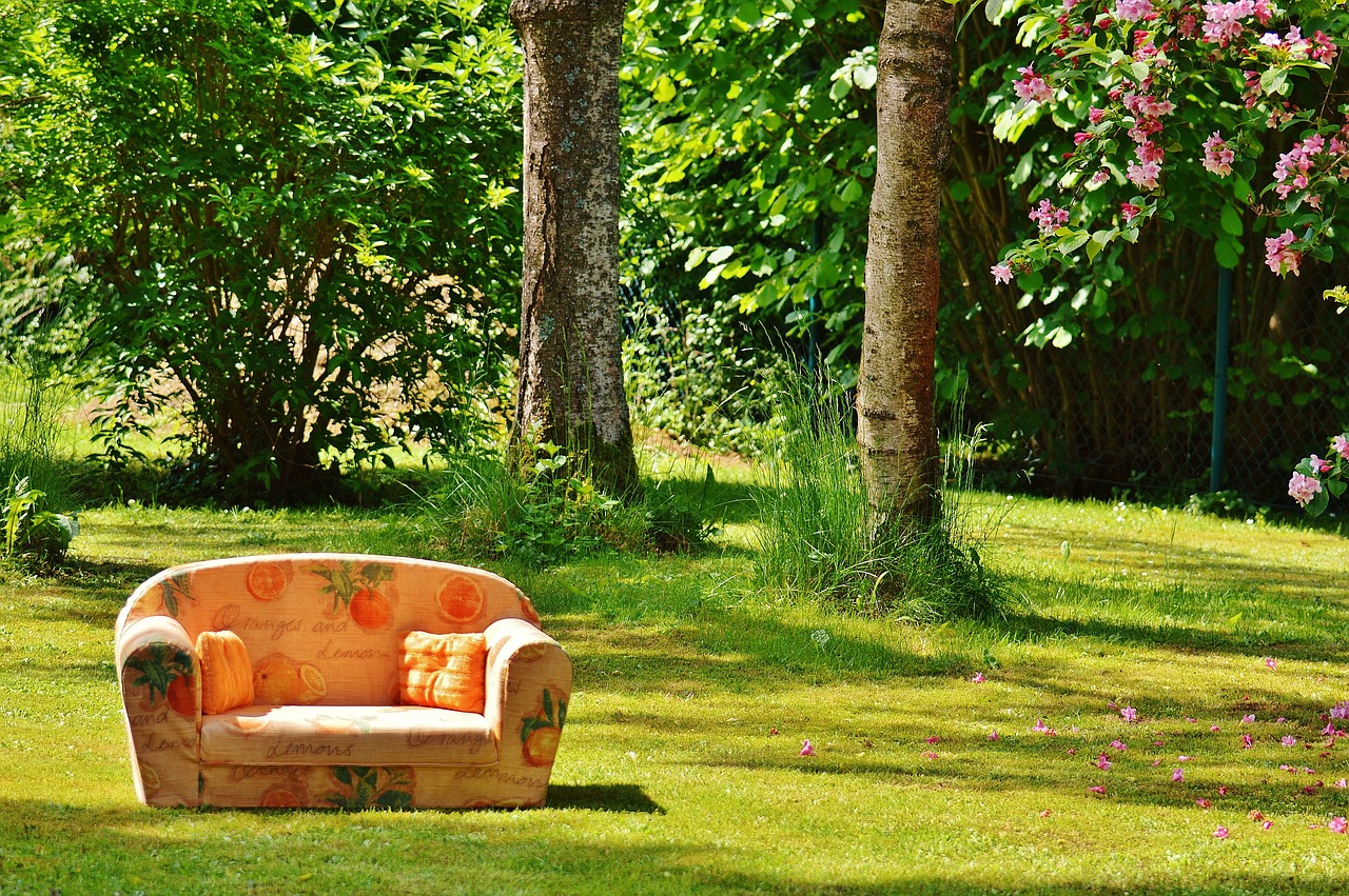 sofa, couch, nature-788635.jpg